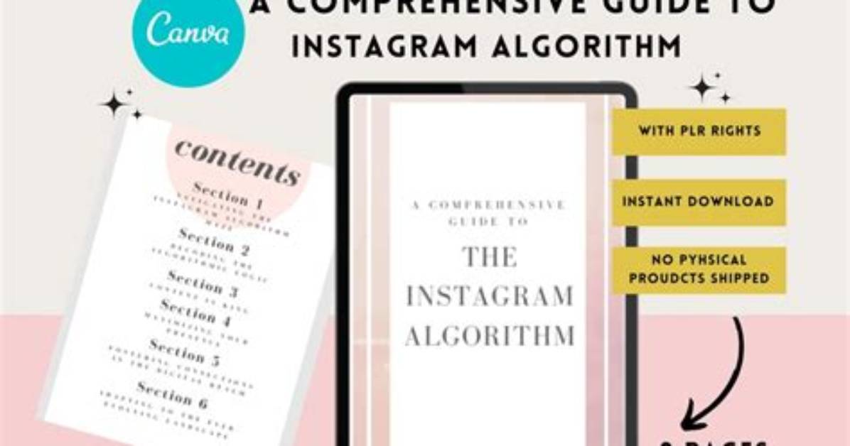 A Comprehensive Guide to Her Instagram Star Bio