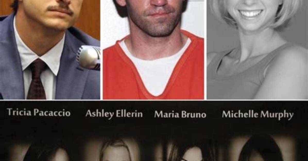 A Comprehensive Look at Ashley Ellerin: Life, Career, and Legacy
