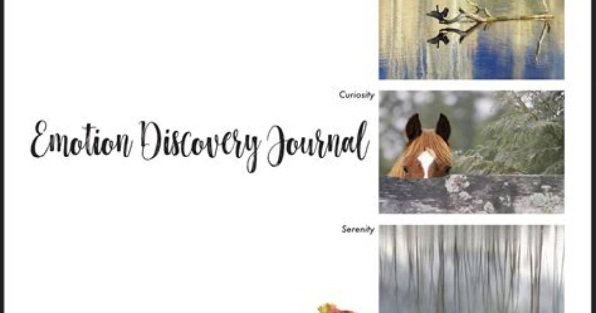 A Journey into Art, Emotion, and Discovery