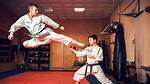 A Journey into Martial Arts Mastery and Cinematic Excellence