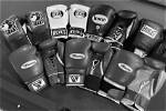 A Journey into the World of Boxing Fatherhood