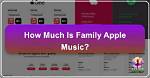 A Seven-Facet Journey of Music, Family, and Inspiration