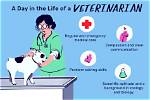 A Vet Explains How to Pick up Your Cat Like a Pro (Bye Bye Scratches)