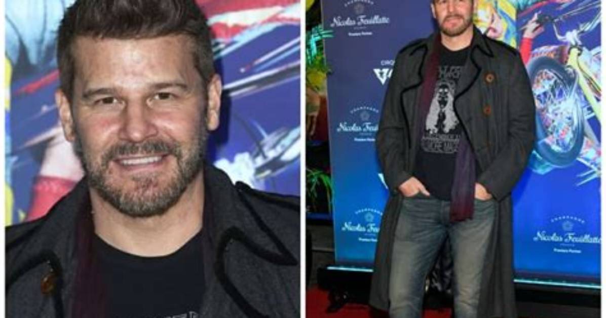 All About David Boreanaz | Net Worth, Relationship, Career