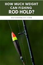 All You Need to Know About Rod Gardner