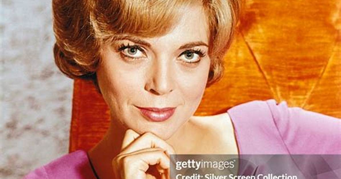 Barbara Bain: the Iconic Actress Who Captivated Audiences