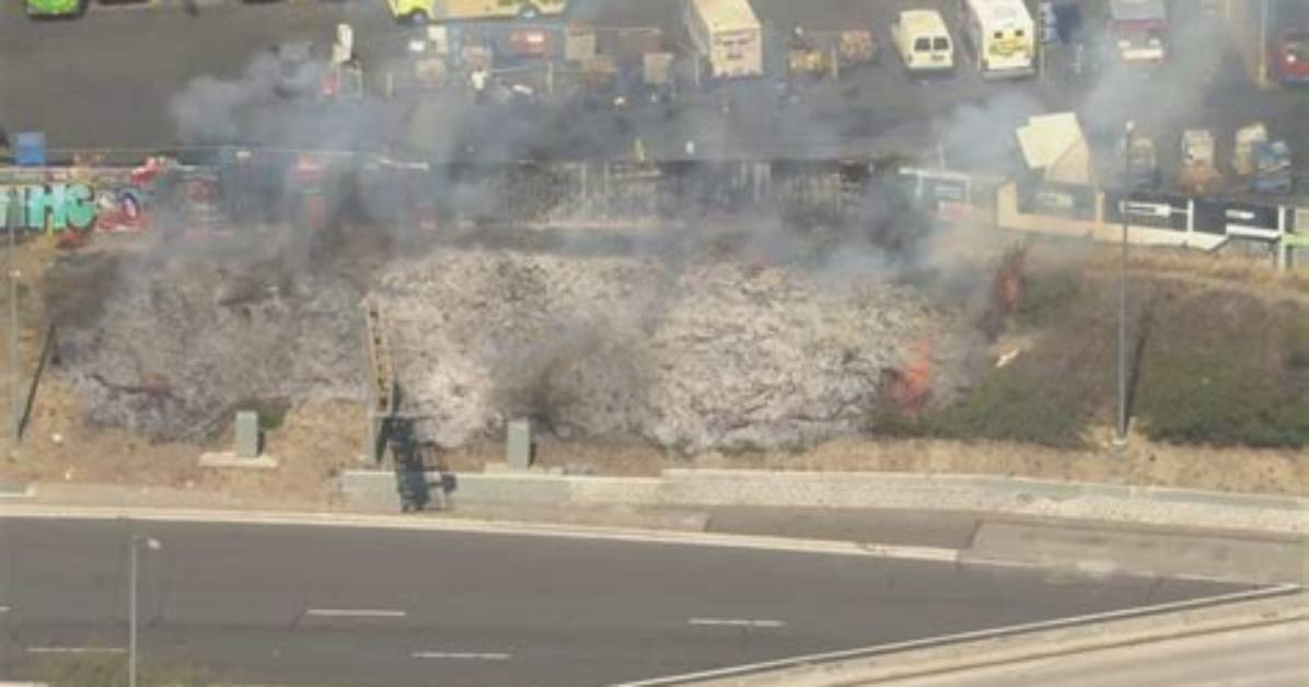 Breaking News: Fire on 110 Freeway Today Causes Major Disruptions