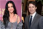 Catfish Guest's Romance with Katy Perry Was Nothing but a Teenage Dream