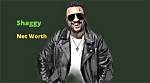 Check out Shaggy's Impressive Net Worth, According to Forbes