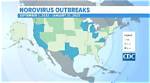 Comprehensive Map of the Current Stomach Virus Outbreak