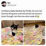 Cuddle Memes: the Heartwarming Trend Taking over the Internet