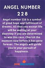 Dashj | Angel Number 228
