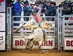 Despite 18-Year-Olds Terrifying Bull Ride, Popular Pbr Event Ends in the Mostunusual Way