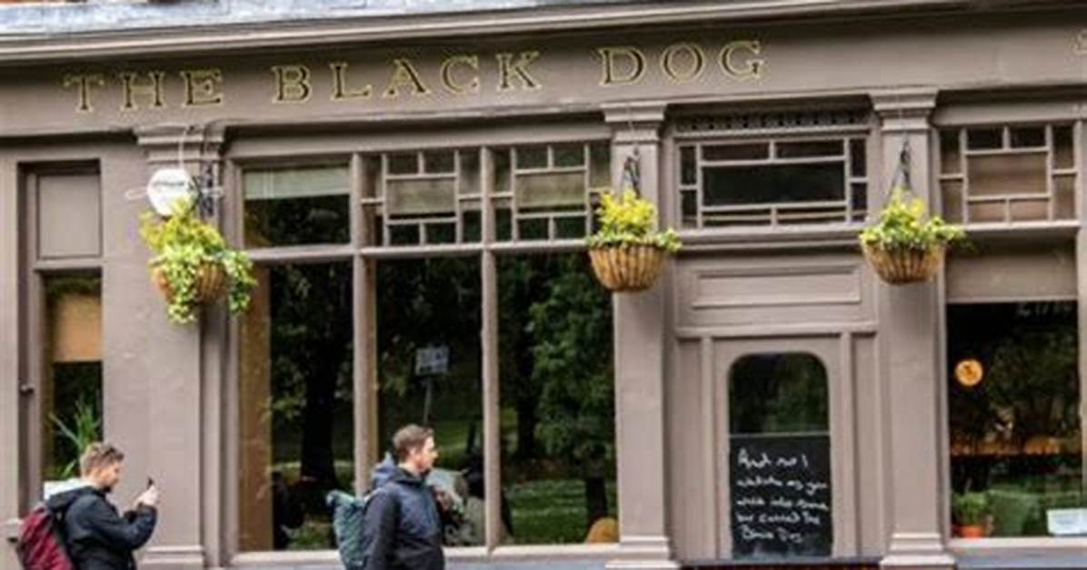 Discovering the Charm of the Black Dog Pub Menu