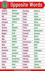 Early Birds Opposite Words More Answer