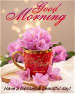 Embracing the Beauty of a Good Morning Rainy Day