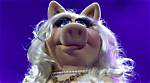 Embracing the Charm of Ugly Muppet Characters