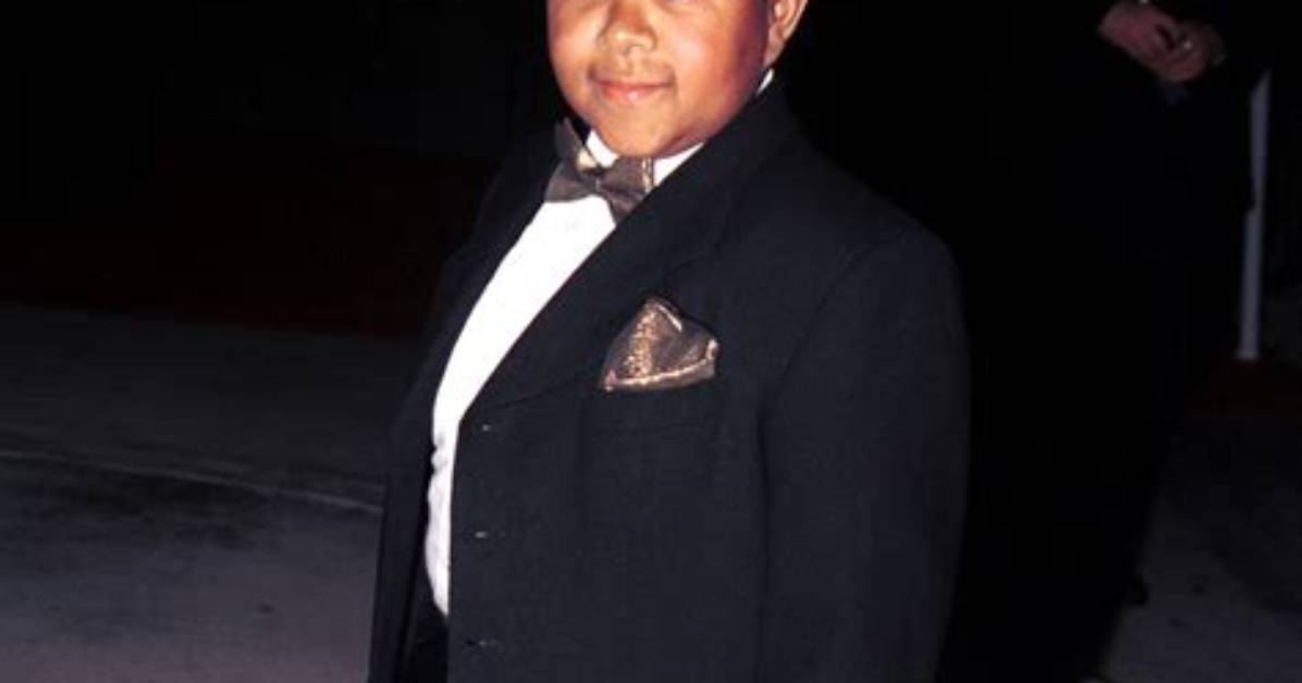Emmanuel Lewis: the Child Star Who Captivated Hearts