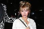 Erika Koike Bio, Family, Career, Husband, History, Net Worth
