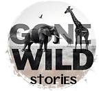 Exploring the Fascinating World of Gonewildstories