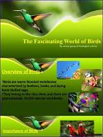 Exploring the Fascinating World of Pronce Dans Shrek