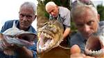 Is Jeremy Wade Gay? Find out the Answer to the Speculation