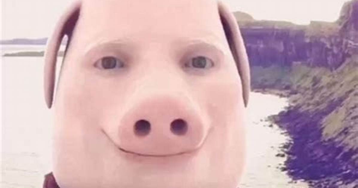 John Pork Found Dead? Truth Behind the Viral Tiktok Calling Meme ·