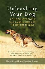 K9Lady: the Ultimate Guide to Canine Companionship and Care