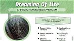 Lice, Sisters and Hair Dream Interpretation ·