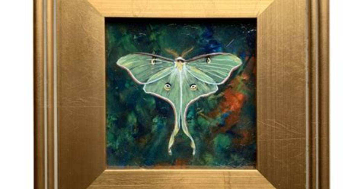 Like a Moth to a Frame Painting Location