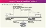 Lupus Disease: the Comprehensive Guide