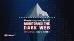 Mastering the Art of Monitoring Your Website's Google Position