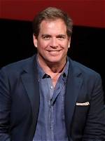 Michael Weatherly Net Worth