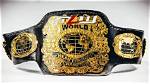 Mlw World Heavyweight Title Match, Mistico in Action Set for Mlw Superfight