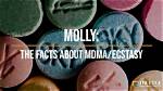 Molly Mdma: the Allure and Reality of the Popular Party Drug