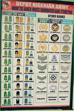 Navigating the Structure: Understanding the Nigerian Army Organogram