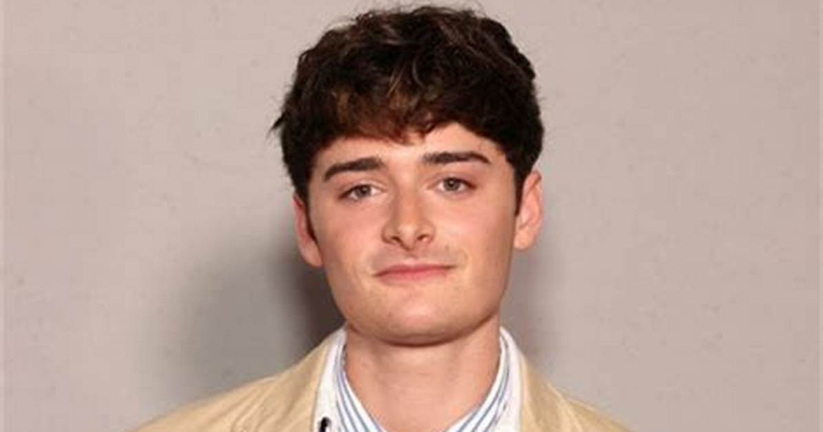 Noah Schnapp: a Comprehensive Guide to His Life and Career