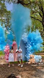 Pulsevibe | California Couple Whose Gender-Reveal Party Sparked a Wildfire Charged with 30 Crimes