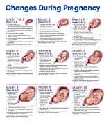 Scheffler Pregnancy Journey: Anticipating the Baby's Arrival