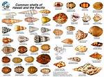 Seashells from Hawaii: What You Need to Know Before You Collect