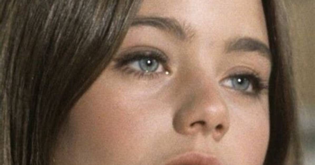 Susan Dey: a Comprehensive Look at Her Life and Career