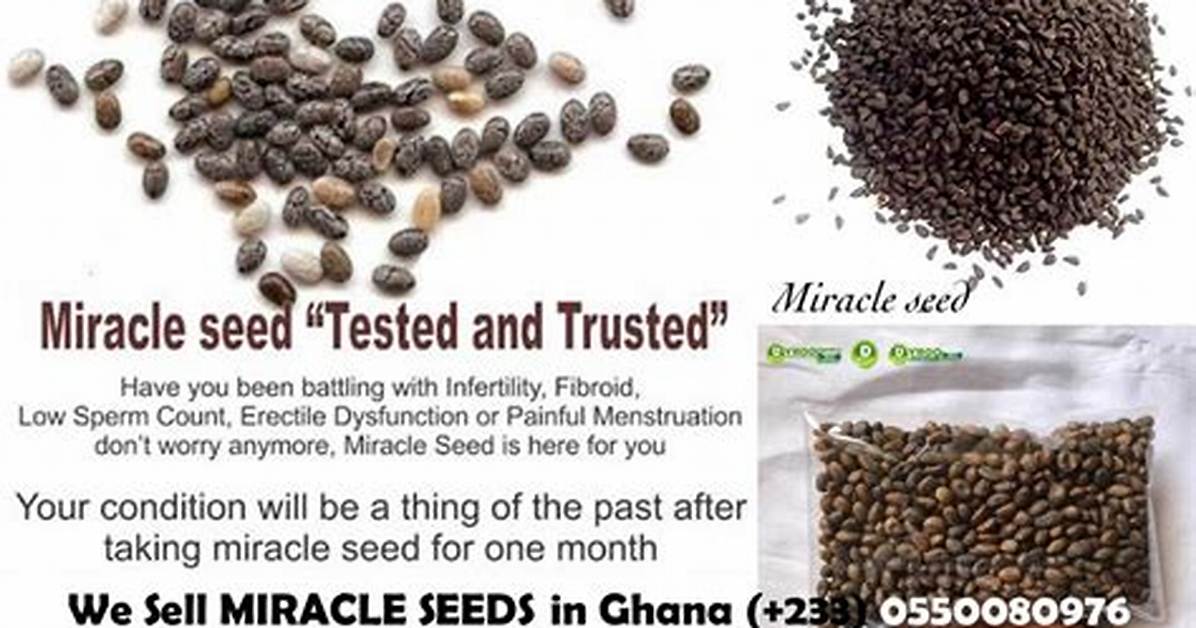The Incredible Benefits of Miracle Seed: Unveiling Nature’s Gift