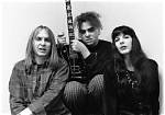 The Melvins: Pioneers of Grunge and Experimental Rock