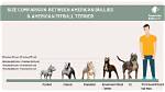 The Ultimate Guide: Pitbull Height - Explained and Explored
