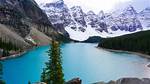 The Ultimate Guide to the "Molly and Jordy Leak"