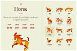 The Year of the Horse