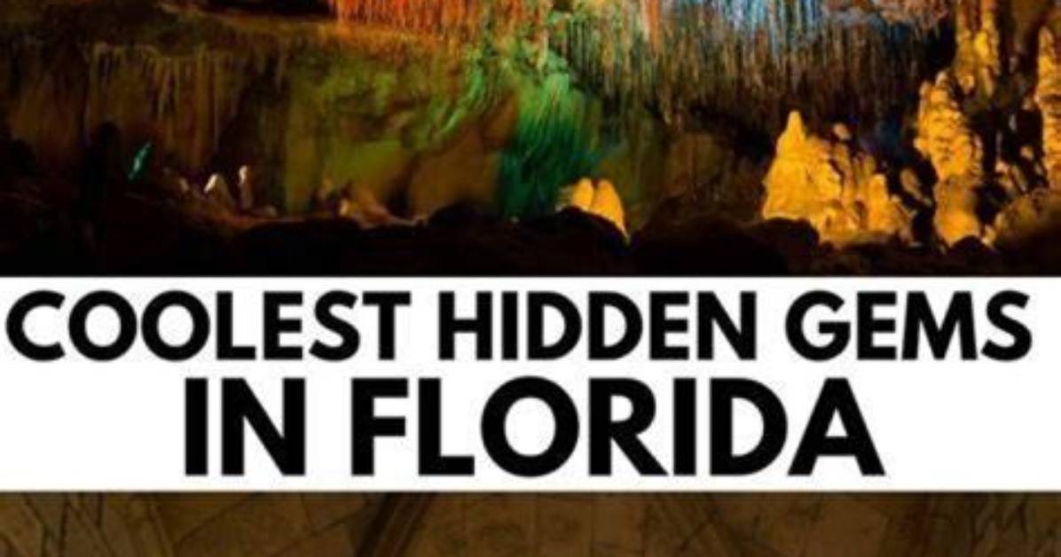 Uncover Hidden Gems and Cinematic Insights