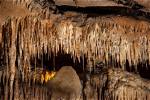 Uncover Indiana's Natural Treasures: Discoveries with Dnr Indiana