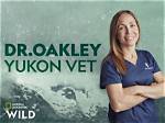 Uncover the Fascinating World of Dr. Oakley, the Alaskan Veterinarian