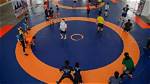 Uncovering the Secrets of Wrestling Success